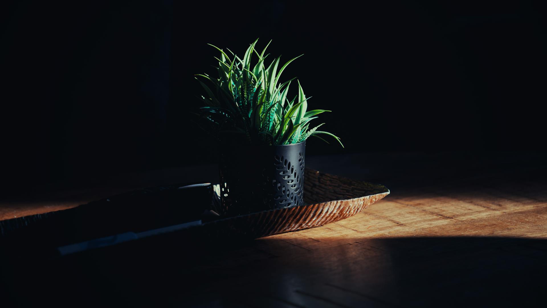 pexels-photo-35219188